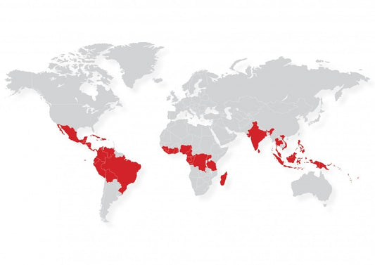 What countries produce cacao?