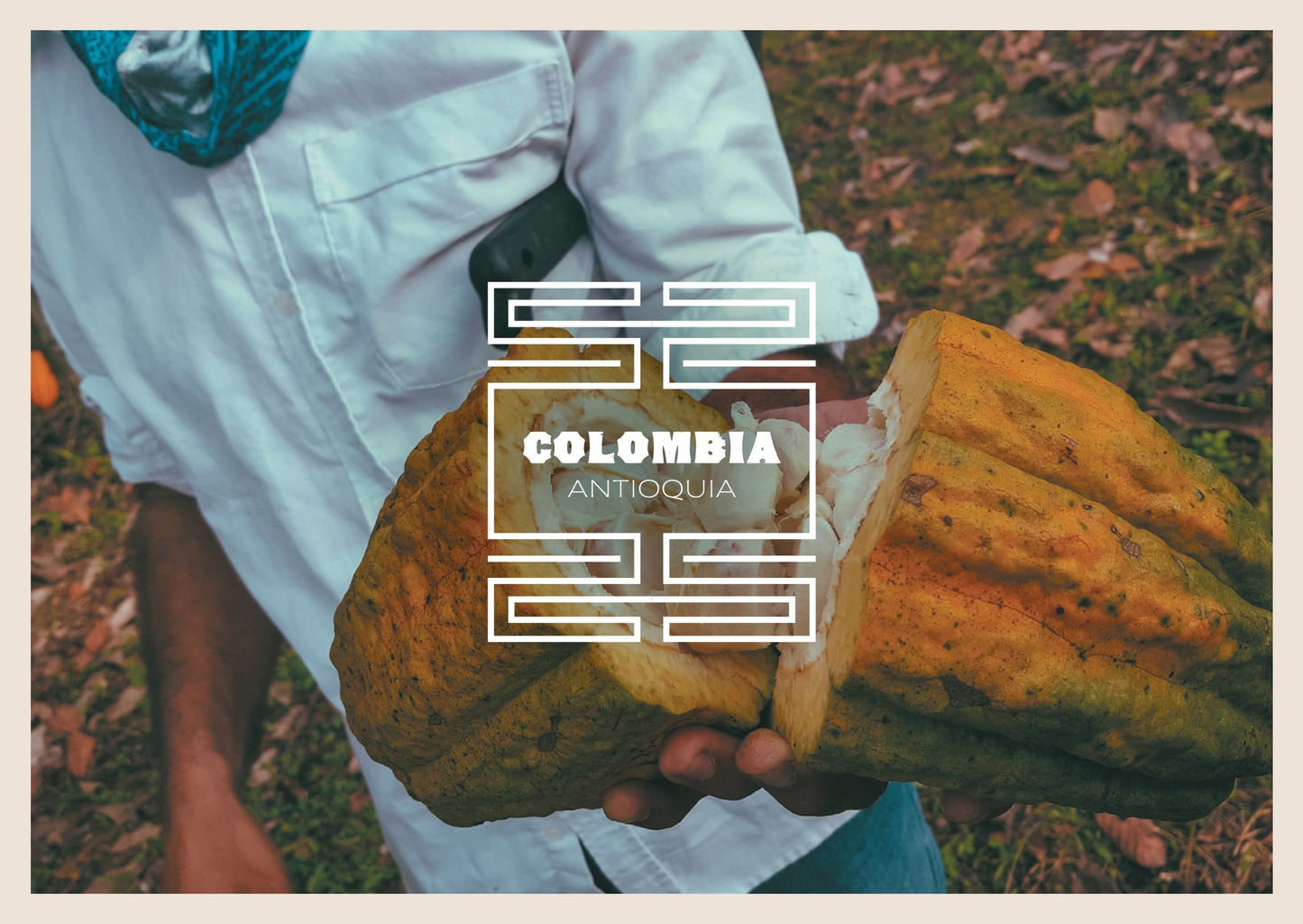 Colombia Antioquia Cacao Cacao en Grano 1kg