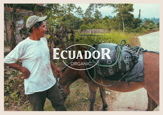 Ecuador Organic Cacao Cocoa Beans 1kg