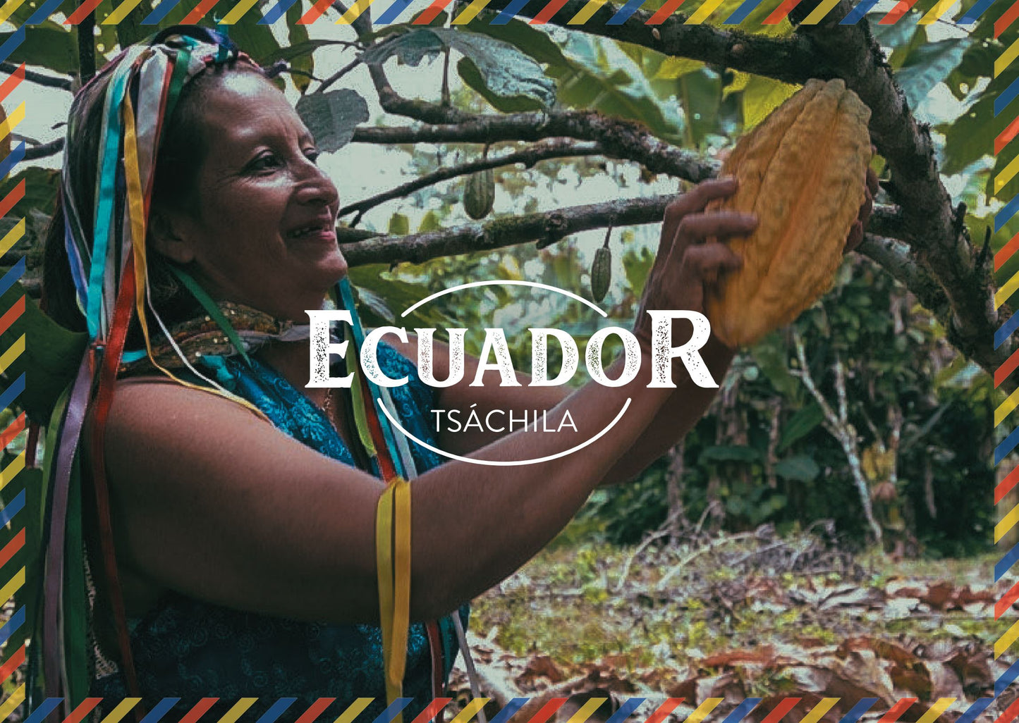 Ecuador Tsáchila Cacao Cacao en Grano 1kg