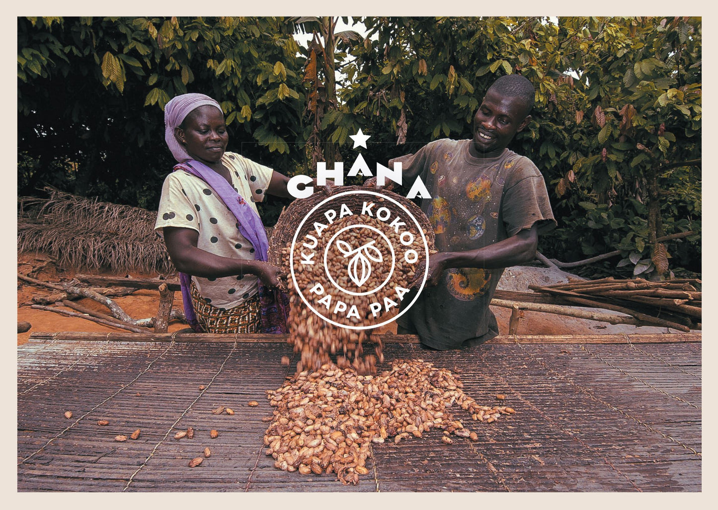 Fèves de cacao Kuapa Kokoo du Ghana