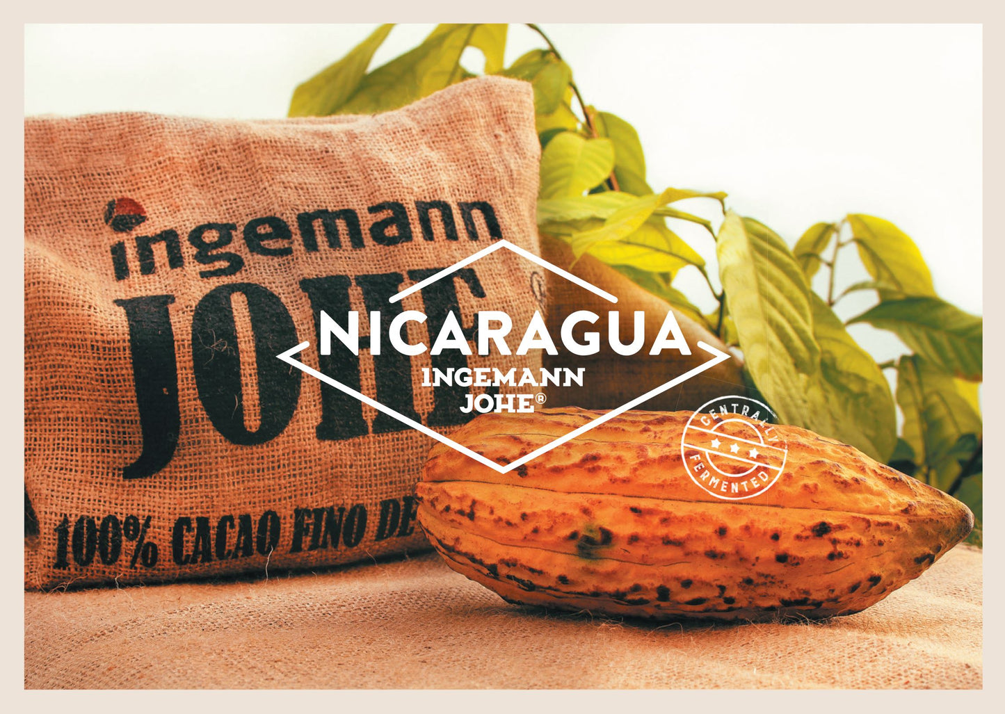 Nicaragua Ingemann Johe Cacao Cocoa Beans 1kg