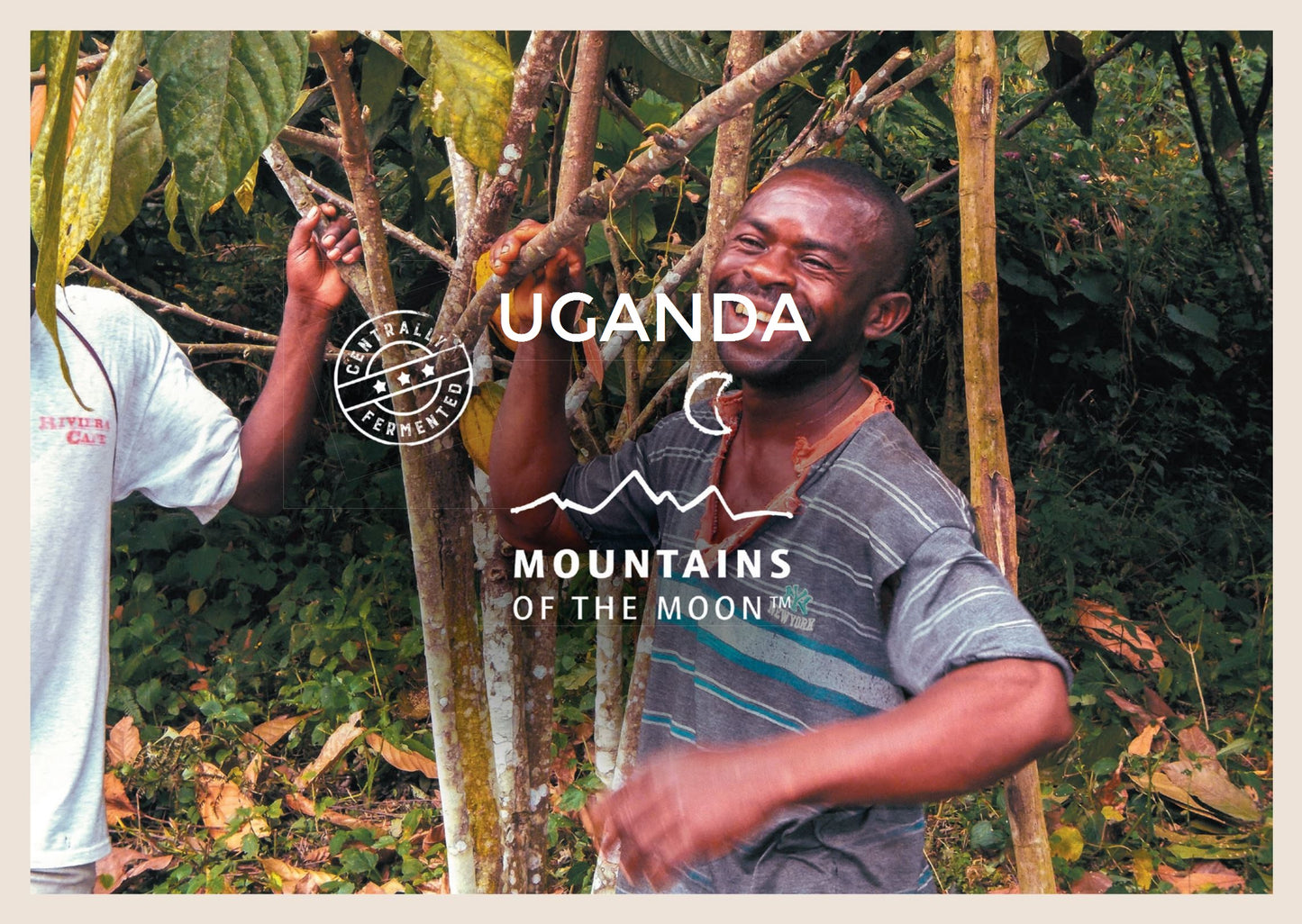 Uganda Montañas de la Luna Cacao en Granos de Cacao Orgánico 1kg